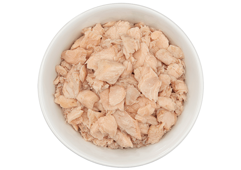 Tiki Cat - Luau - Wild Salmon for Cats